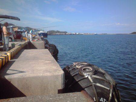 小サバ27匹、小アジ２２センチ